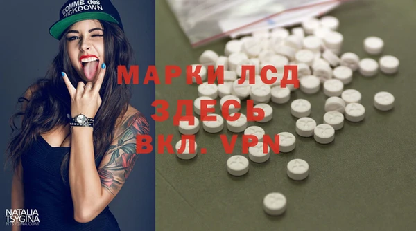 тгк Новодвинск