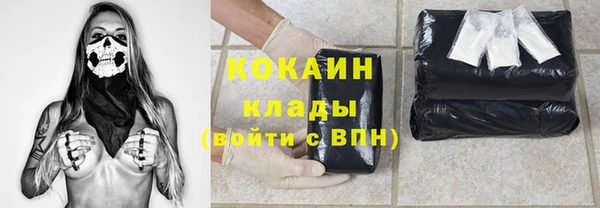 тгк Няндома