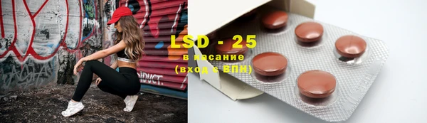 тгк Новодвинск