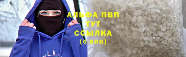 тгк Новодвинск