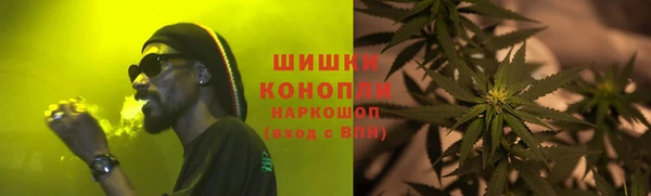 мет Новозыбков