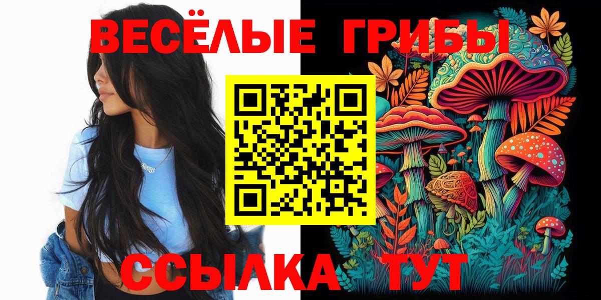 Нововоронеж  Кокаин  Экстази  Меф  ГАШИШ  Каннабис  Вход с VPN  Меф кристаллы 