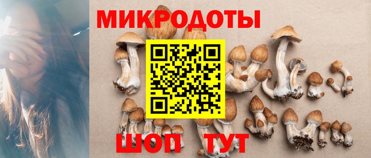 Галлюциногенные грибы Psilocybine cubensis  где купить наркоту  Нововоронеж  Псилоцибиновые грибы Psilocybe 