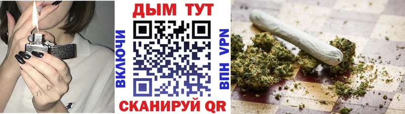 Конопля конопля  мега как зайти  Нововоронеж  купить наркоту 